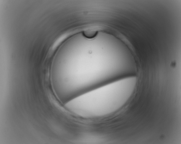 X0000114391083200910161027