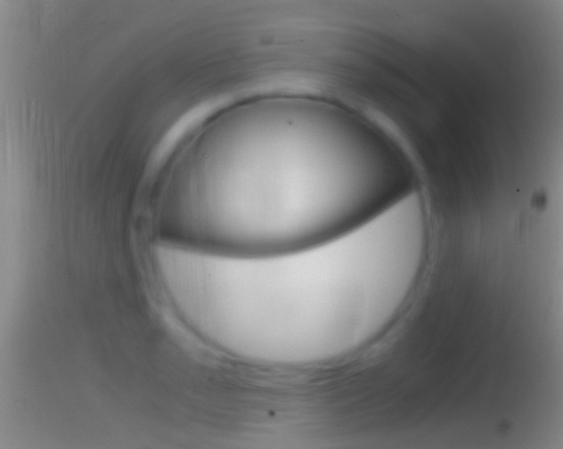 X0000114391085200910161027