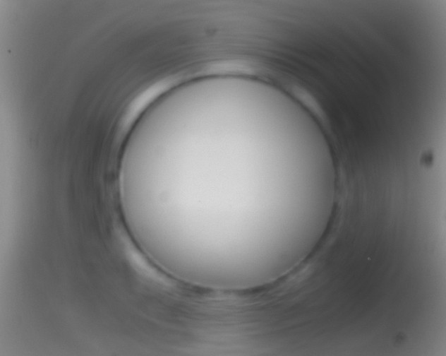X0000114391087200910161027