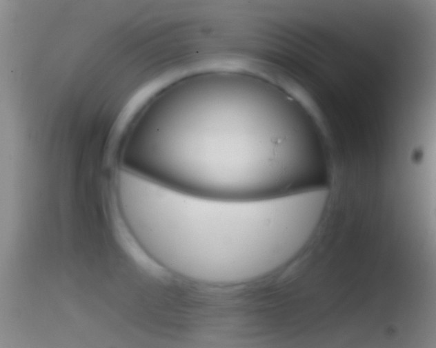 X0000114391088200910161027