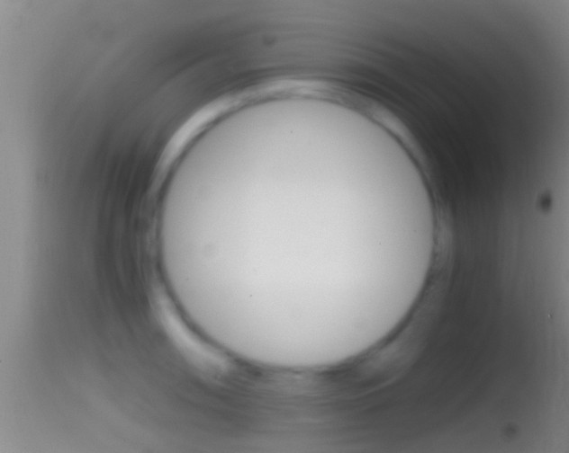 X0000114391090200910161026