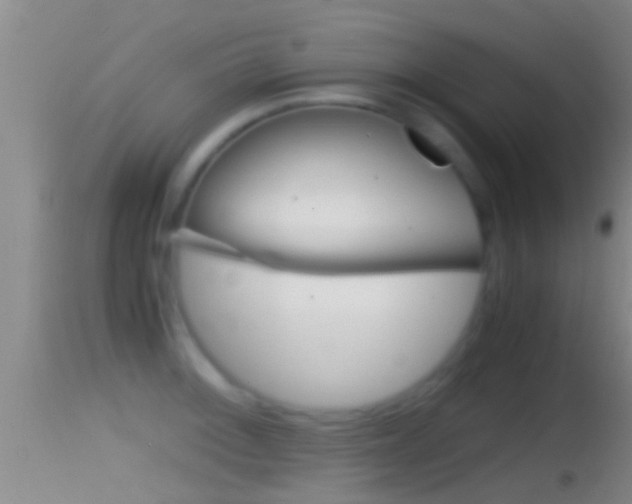 X0000114391092200910161026
