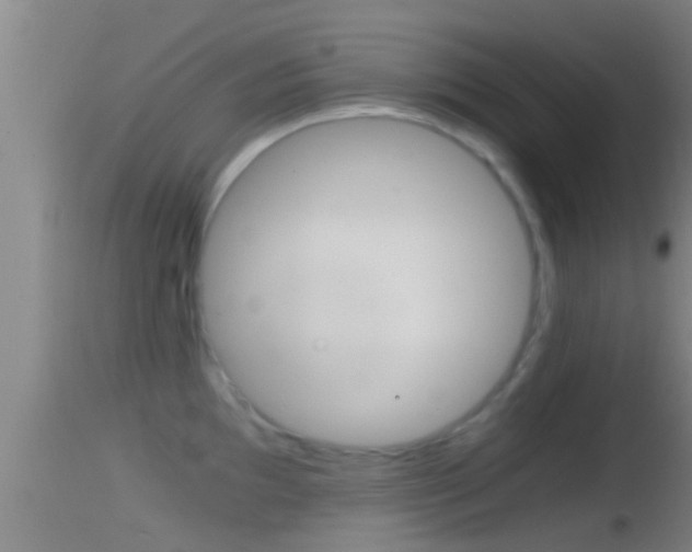 X0000114391097200910161026