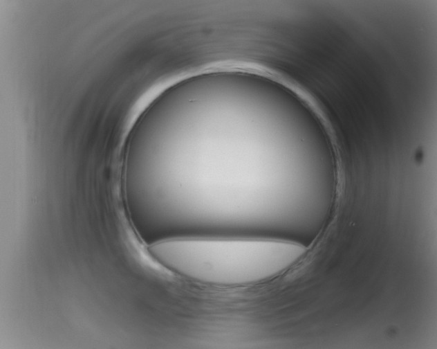 X0000114391102200910161026
