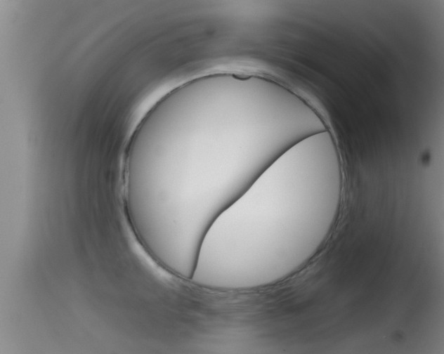 X0000114391103200910161026
