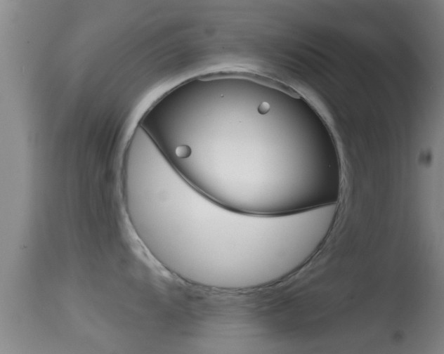 X0000114391104200910161026