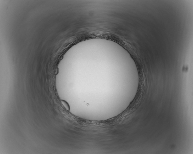 X0000114391105200910161026