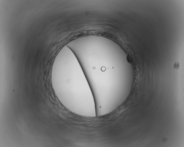 X0000114391109200910161026