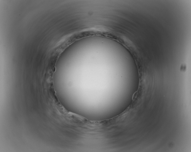 X0000114391110200910161026