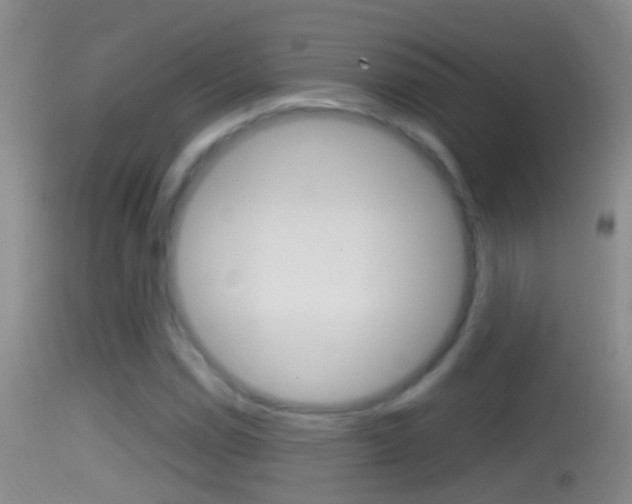 X0000114391114200910161026
