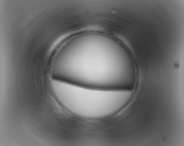 X0000114391115200910161026