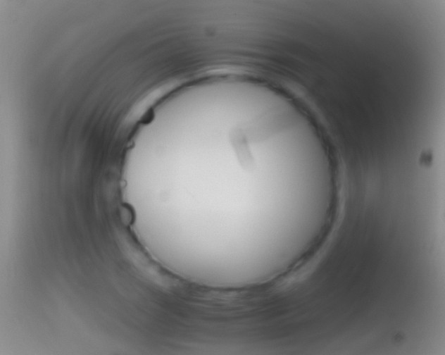 X0000114391121200910161026