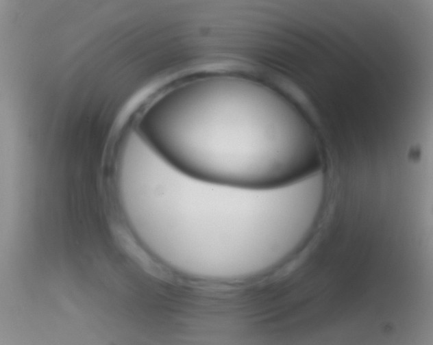 X0000114391122200910161026