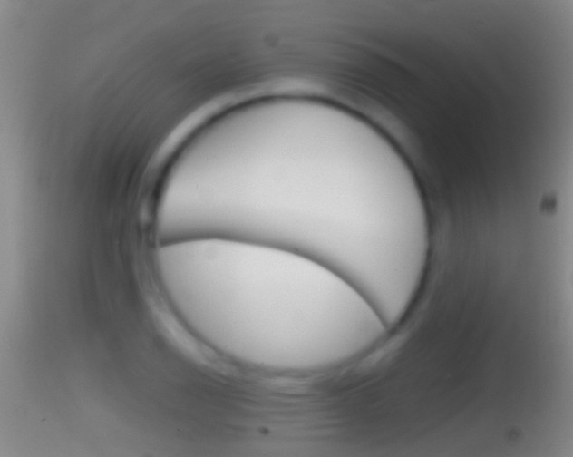 X0000114391126200910161026