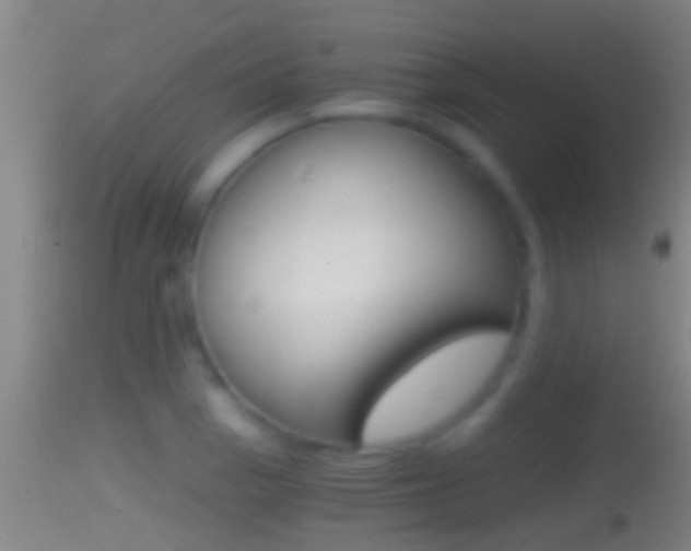 X0000114391129200910161026