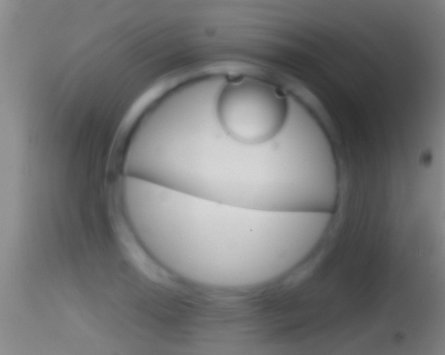 X0000114391130200910161026