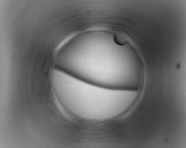 X0000114391137200910161026