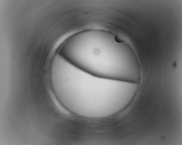 X0000114391141200910161026