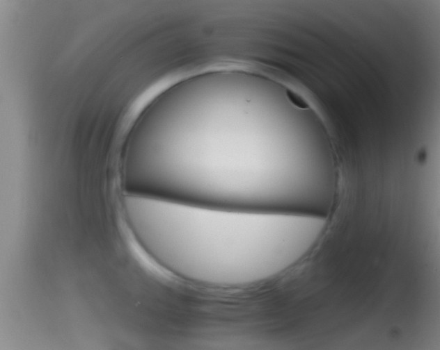 X0000114391143200910161026