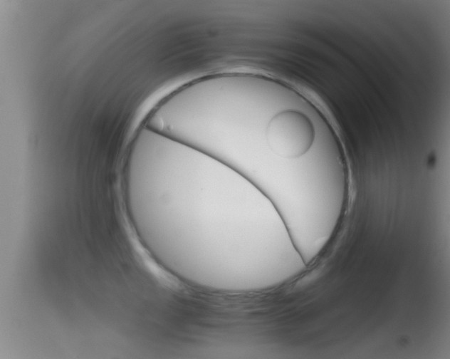 X0000114391149200910161026