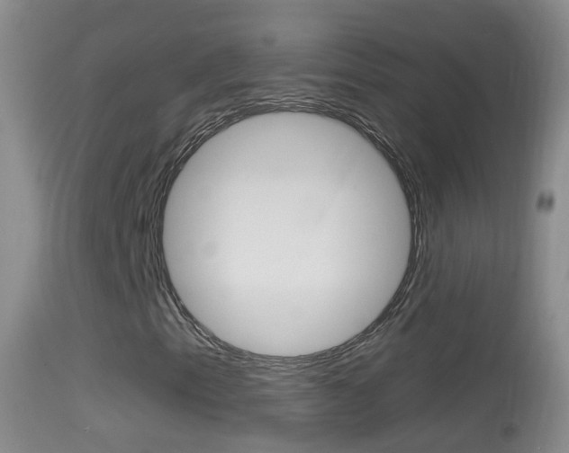 X0000114391153200910161026