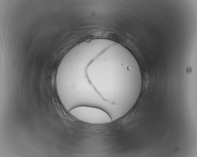 X0000114391154200910161026
