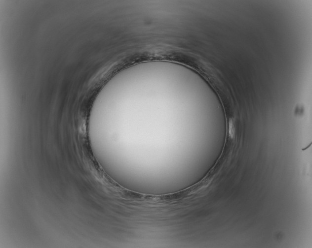 X0000114391155200910161026