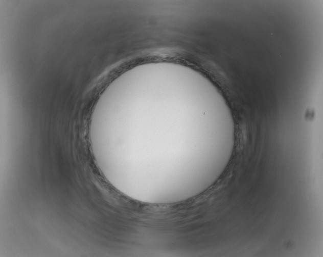 X0000114391158200910161026
