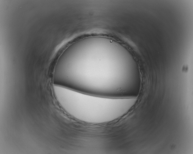 X0000114391160200910161026