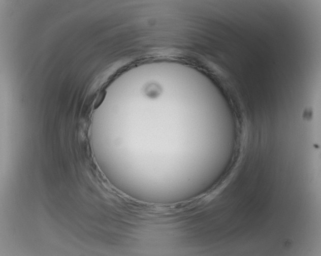 X0000114391161200910161025
