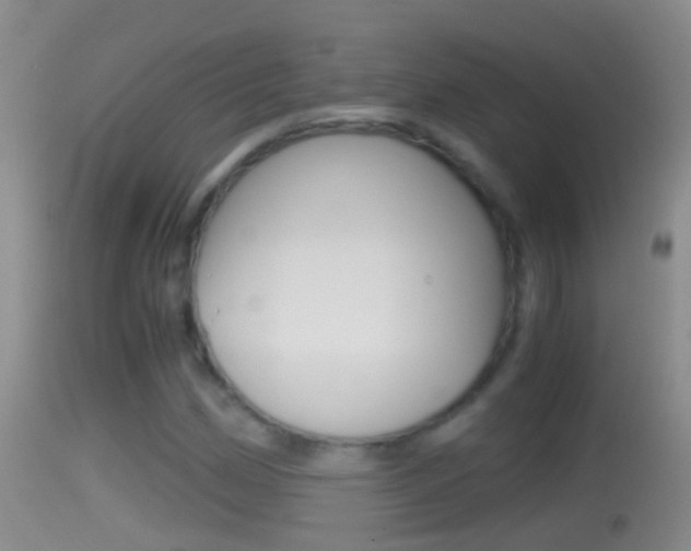 X0000114391162200910161025