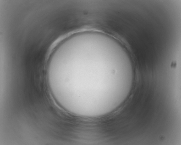 X0000114391168200910161025
