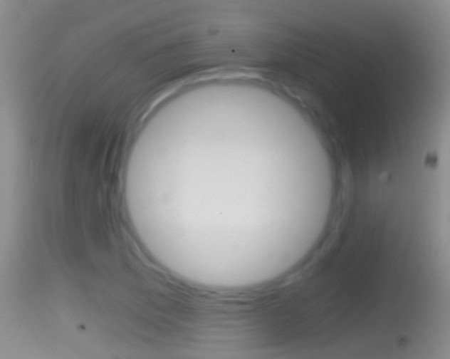 X0000114391169200910161025