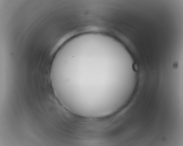 X0000114391170200910161025