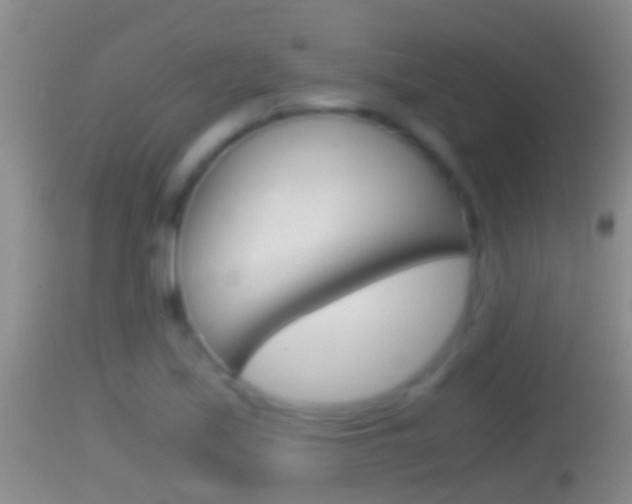 X0000114391171200910161025