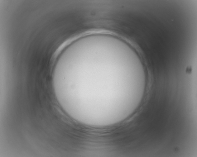 X0000114391173200910161025