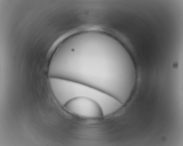X0000114391174200910161025