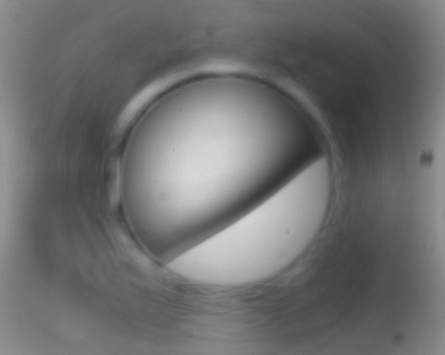 X0000114391175200910161025
