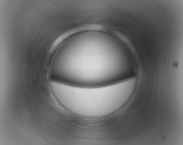 X0000114391176200910161025