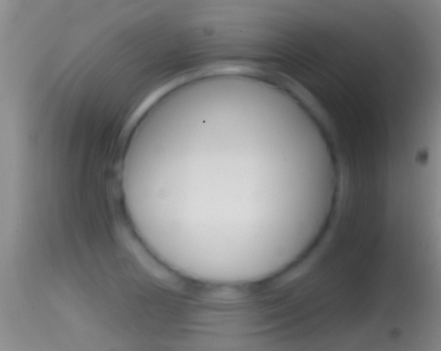 X0000114391178200910161025