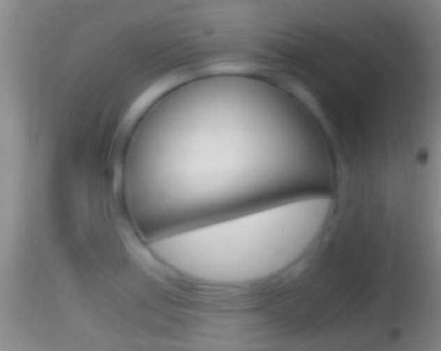 X0000114391179200910161025