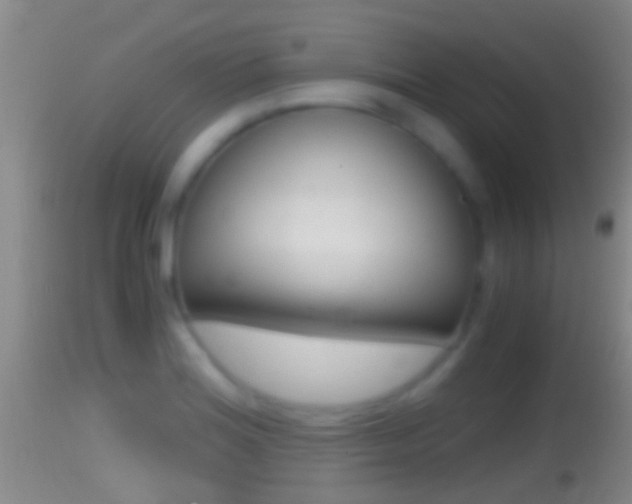 X0000114391180200910161025
