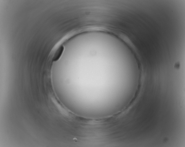 X0000114391181200910161025