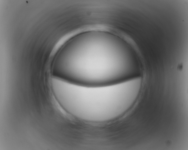 X0000114391184200910161025
