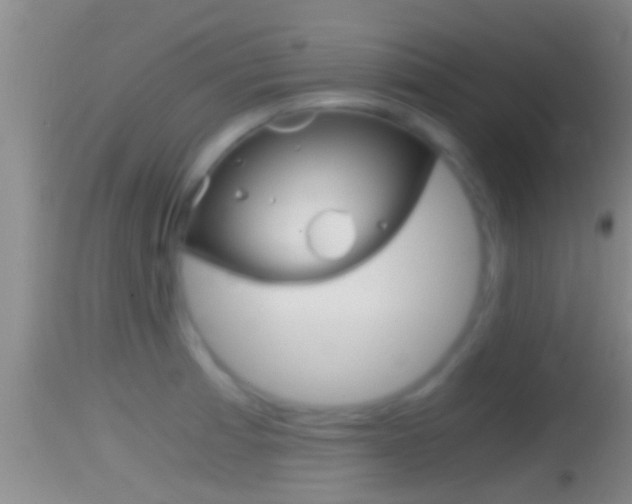 X0000114391185200910161025