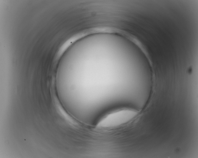 X0000114391187200910161025