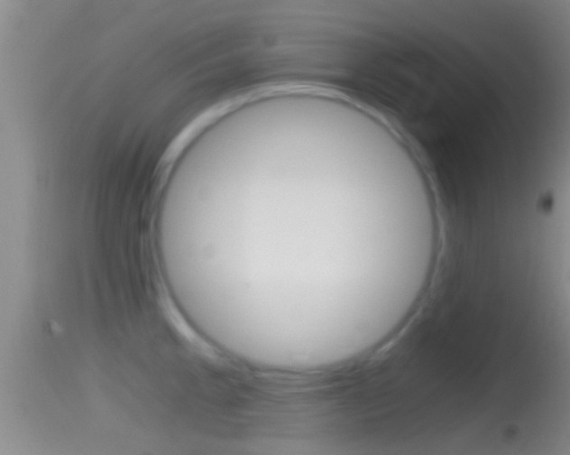X0000114391189200910161025
