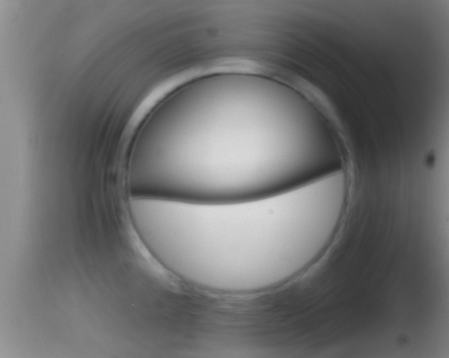 X0000114391192200910161025