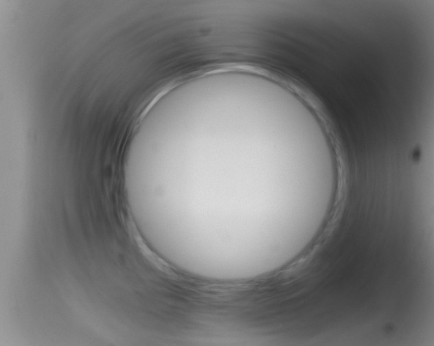 X0000114391193200910161025