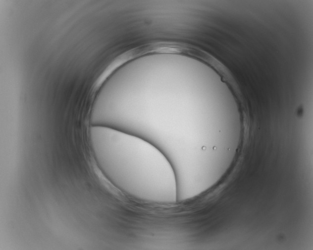 X0000114391194200910161025
